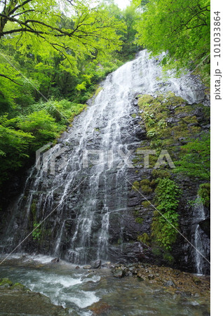 龍双ヶ滝　福井県今立郡池田町 101033864