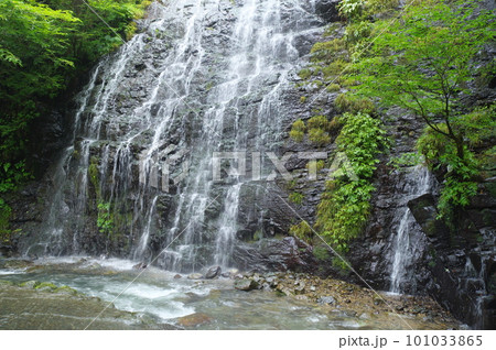 龍双ヶ滝　福井県今立郡池田町 101033865