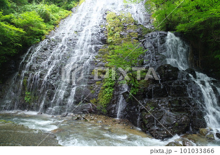 龍双ヶ滝　福井県今立郡池田町 101033866