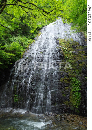 龍双ヶ滝 福井県今立郡池田町 龍双ヶ滝 福井県今立郡池田町 101033906