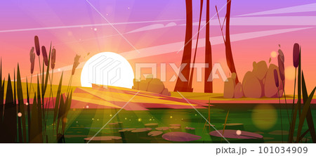 Green swamp and cattail near lake, pink sunset 101034909