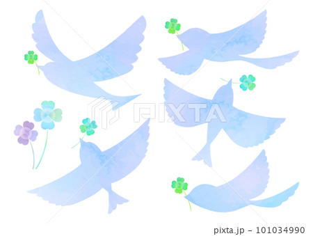 青い鳥 小鳥 シルエット クローバー 101034990