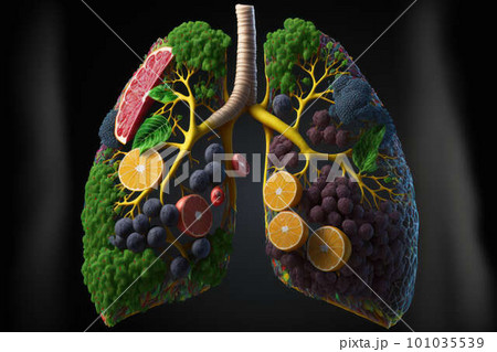 Human lungs Made of Fruits and Vegetables healthy lifestyle concept created with generative AI technology. High quality illustration 101035539