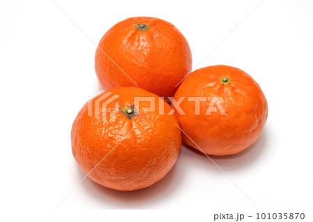 マーコット 101035870