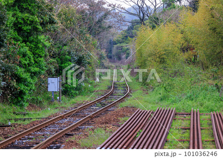 ローカル鉄道の駅から林に伸びる線路 ローカル鉄道の駅から林に伸びる線路 101036246