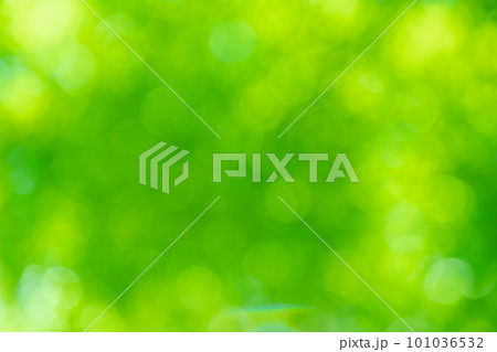 Green color bokeh, Green bacground, Blurred nature bokeh ure for the background 101036532