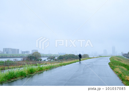 雨の日に土手を歩く人 雨の日に土手を歩く人 101037085