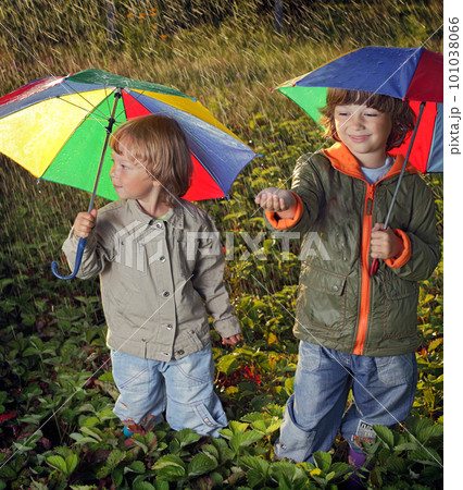 two brothers play in rain two brothers play in rain 101038066