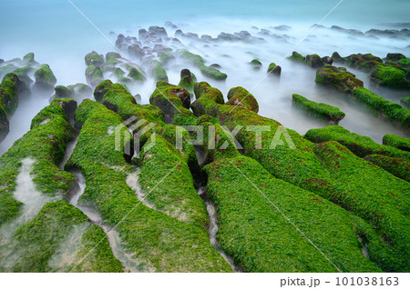 White waves wash over mossy brown rocks. Explore breathtaking coastal landscape. White waves wash over mossy brown rocks. Explore breathtaking coastal landscape. 101038163