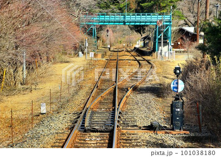 芽吹きの春… わたらせ渓谷鐵道・沢入駅 101038180