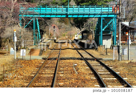 芽吹きの春… わたらせ渓谷鐵道・沢入駅 101038187