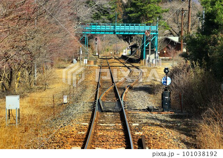 芽吹きの春… わたらせ渓谷鐵道・沢入駅 101038192
