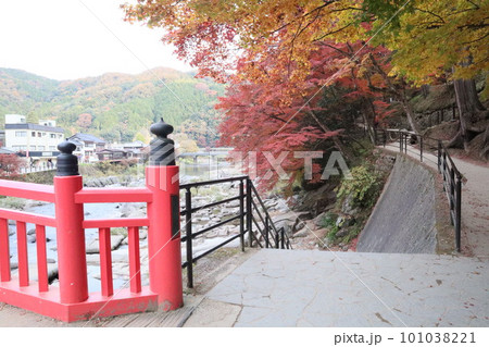紅葉 香嵐渓 豊田市 足助町 もみじ狩り 紅葉 香嵐渓 豊田市 足助町 もみじ狩り 101038221