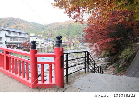 紅葉 香嵐渓 豊田市 足助町 もみじ狩り 紅葉 香嵐渓 豊田市 足助町 もみじ狩り 101038222