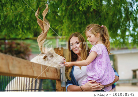 Little preschool girl and woman feeding goat. Happy excited child and mother feeds animals a wildlife park. Family leisure and activity for vacations or weekend Little preschool girl and woman feeding goat. Happy excited child and mother feeds animals a wildlife park. Family leisure and activity for vacations or weekend 101038545