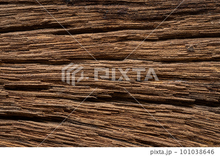 Rotten wood with lines broken pattern, weathered cracked vignette grunge texture for background Rotten wood with lines broken pattern, weathered cracked vignette grunge texture for background 101038646