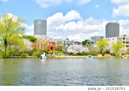 石神井公園(東京都練馬区)【2023.3】 石神井公園(東京都練馬区)【2023.3】 101038761