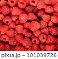 raspberry juicy ripe 101039726