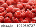 raspberry juicy ripe 101039727