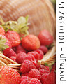 basket with strawberry and raspberry 101039735