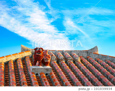 沖縄シーサー 沖縄シーサー 101039934