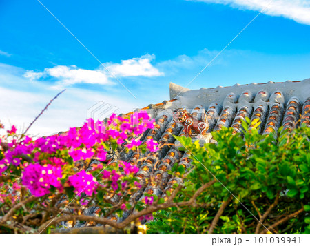 沖縄シーサー 101039941