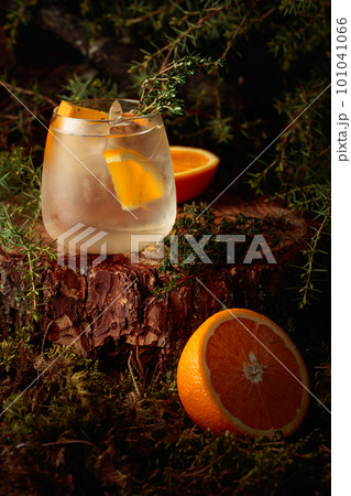 Gin and Tonic cocktail with orange and thyme. Gin and Tonic cocktail with orange and thyme. 101041066