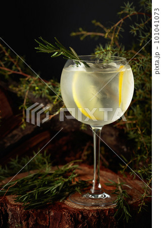 Gin and Tonic cocktail with lemon and rosemary. 101041073