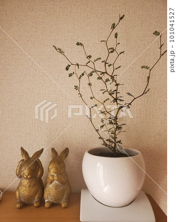 ウサギの置物と観葉植物ソフォラリトルベビー ウサギの置物と観葉植物ソフォラリトルベビー 101041527