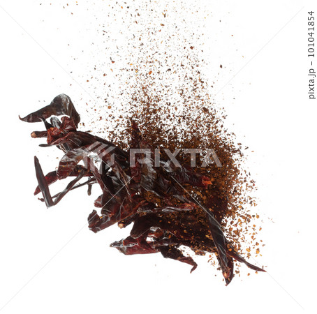 Dried Red hot Chilli fall down explosion, dried Red Chilli float explode, abstract cloud fly. Mix ground powder Chillis splash throwing in Air. White background Isolated high speed shutter, freeze Dried Red hot Chilli fall down explosion, dried Red Chilli float explode, abstract cloud fly. Mix ground powder Chillis splash throwing in Air. White background Isolated high speed shutter, freeze 101041854