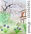 水彩で描いたピンクの花と窓 101042901
