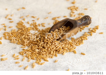 Wooden spoon of dry raw rye grain on white table close up Wooden spoon of dry raw rye grain on white table close up 101043611