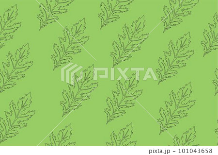 Seamless pattern of green leaves of Mizuna lettuce. Vector illustration of Japanese mustard 101043658