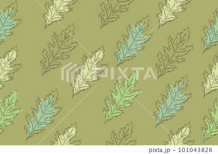 Seamless pattern of green leaves of Mizuna...のイラスト素材 [101043826] - PIXTA