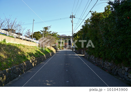 朝早く参拝した能登國一宮の氣多大社 101043900
