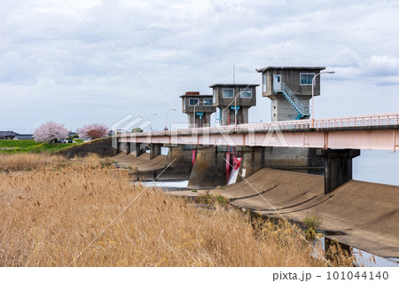 福岡堰さくら公園 101044140