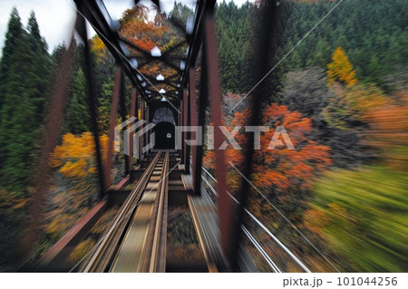 秋田内陸線の紅葉 101044256