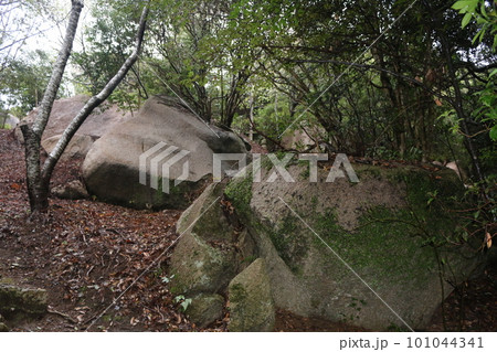 高知　唐人駄場遺跡 101044341