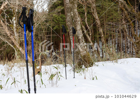 雪に立つストック 雪に立つストック 101044629