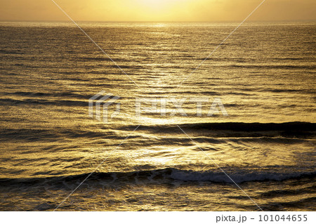 日の出の反射で黄金色に染まる海原 101044655