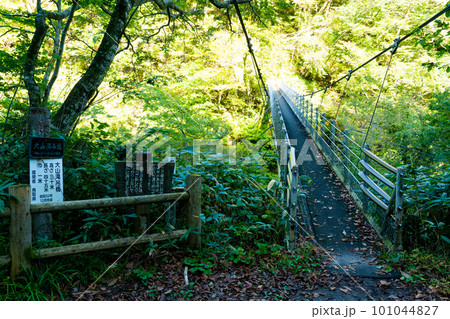 大山滝へと向かう大山滝吊橋　鳥取県東伯郡琴浦町 101044827