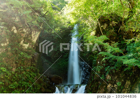 【日本の滝百選】大山滝　上段1　鳥取県東伯郡琴浦町 101044836