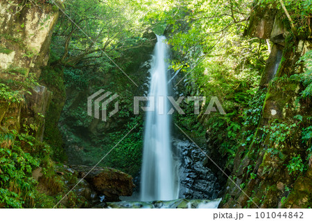 【日本の滝百選】大山滝の上段2 鳥取県東伯郡琴浦町 【日本の滝百選】大山滝の上段2 鳥取県東伯郡琴浦町 101044842
