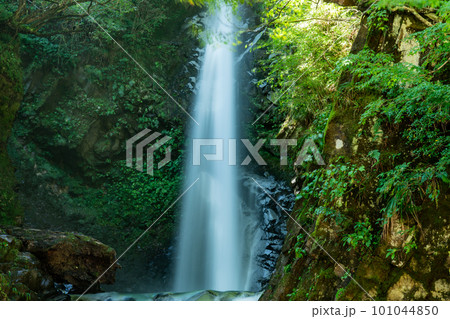 【日本の滝百選】大山滝　上段3　鳥取県東伯郡琴浦町 101044850