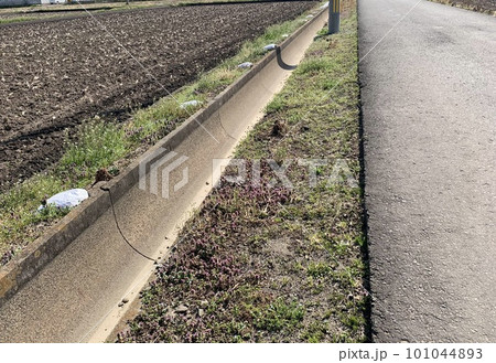 水路と農道 水路と農道 101044893