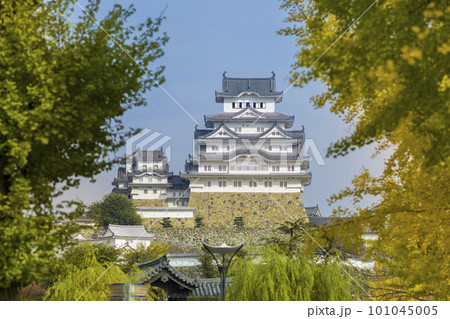 黄葉の木々に囲まれた姫路城天守閣 / Himeji Castle, Hyogo, Japan 101045005