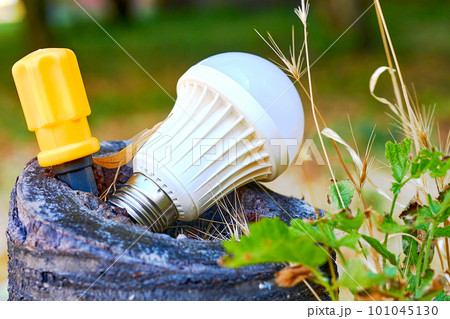 An orange screwdriver and a white LED lamp in an old stump in nature 101045130