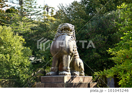 パワースポット能登國一宮の氣多大社の狛犬 パワースポット能登國一宮の氣多大社の狛犬 101045246