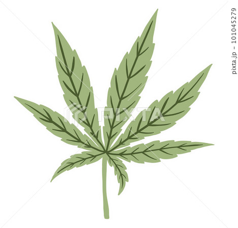simplicity cannabis leaf freehand drawing flat design. 101045279