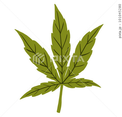 simplicity cannabis leaf freehand drawing flat design. 101045280